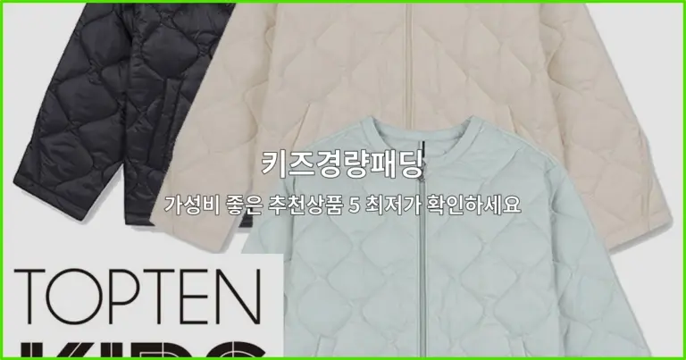 키즈경량패딩 가성비 좋은 추천상품 5 최저가 확인하세요